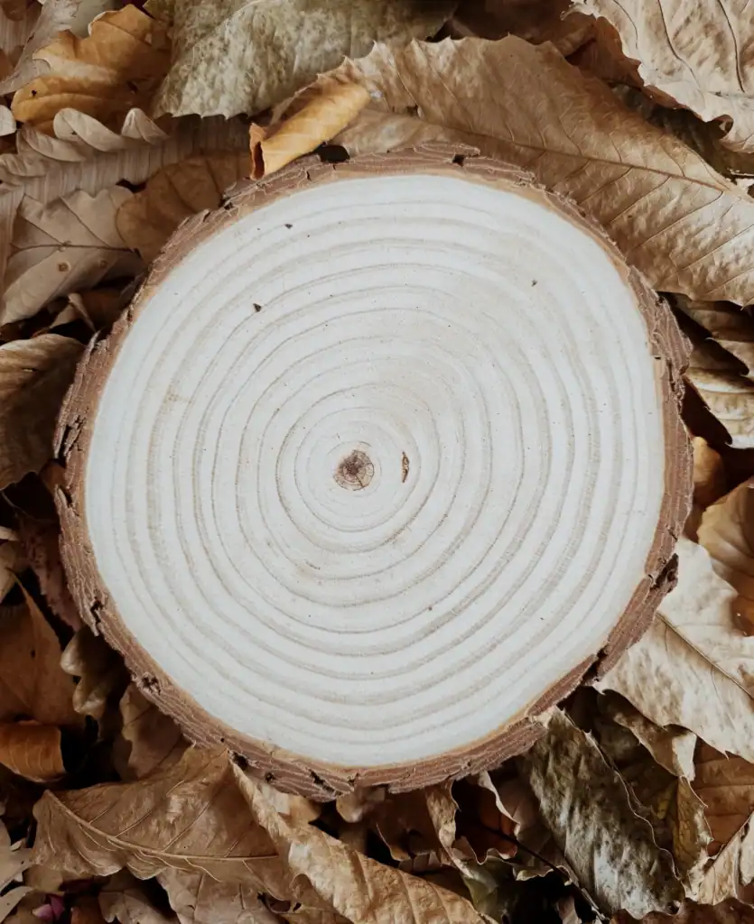 gravure-et-sens-bois-brut-pyrogravure